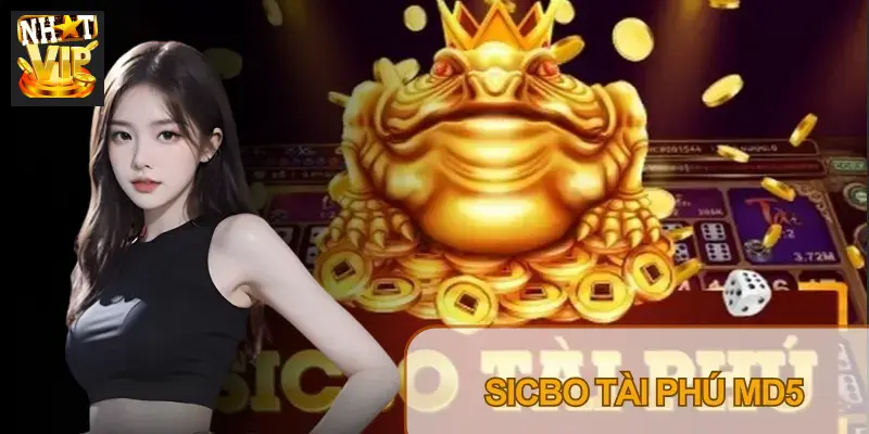 Sicbo Tài Phú MD5 Nhatvip – Luật Chơi Và Cách Kiểm Tra Mã Sicbo Tài Phú MD5 Nhatvip – Luật Chơi Và Cách Kiểm Tra Mã